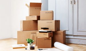 Canberra to Sydney Removals